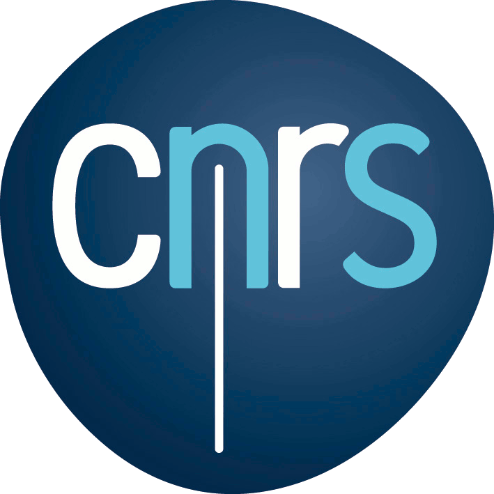 Logo CNRS filaire trans